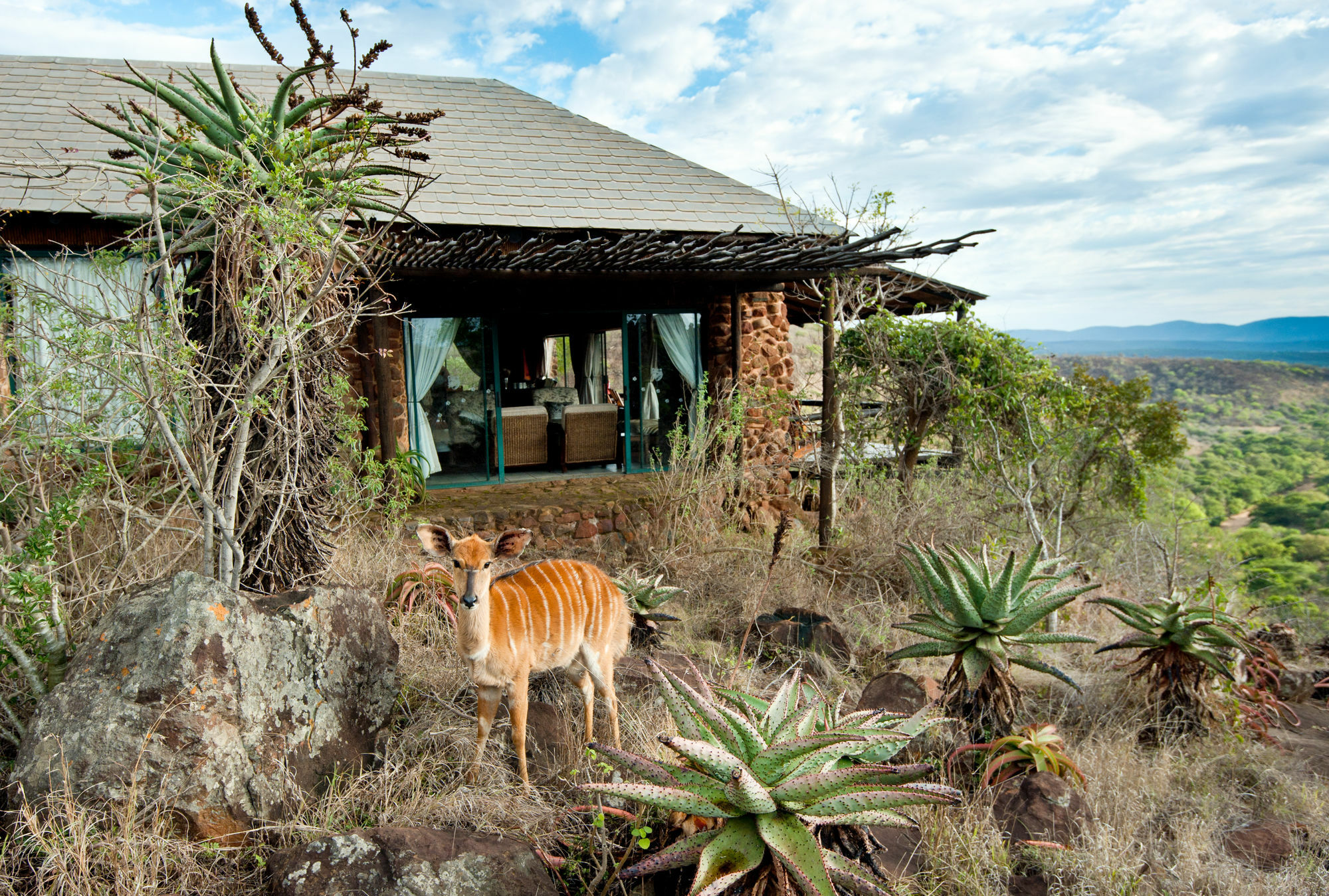Leopard Mountain Safari Lodge Manyoni Private Game Reserve Εξωτερικό φωτογραφία